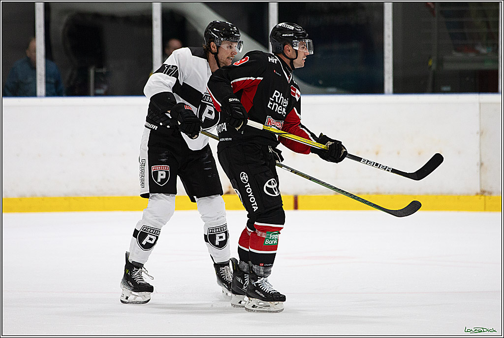 PENNY DEL;Testspiel Koelner Haie- Pioneers Vorarlberg; Koeln, 08.09.2024