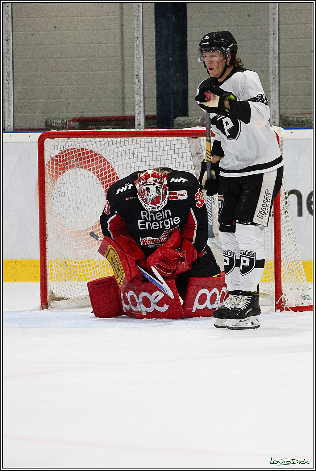 PENNY DEL;Testspiel Koelner Haie- Pioneers Vorarlberg; Koeln, 08.09.2024