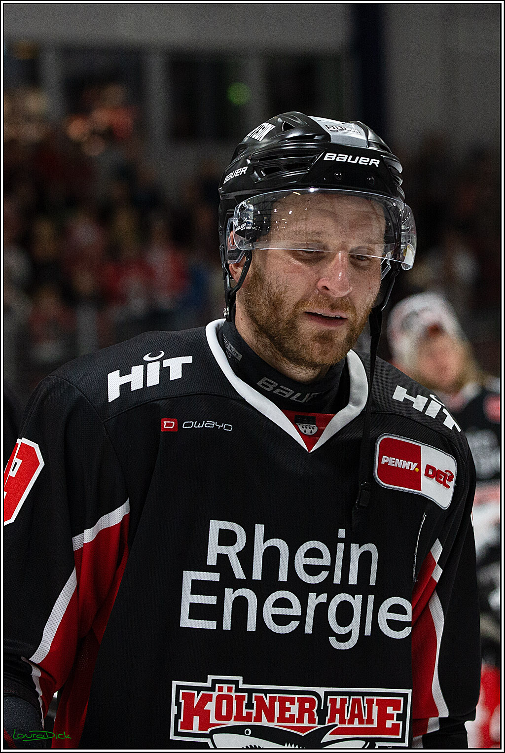 PENNY DEL;Testspiel Koelner Haie- Pioneers Vorarlberg; Koeln, 08.09.2024