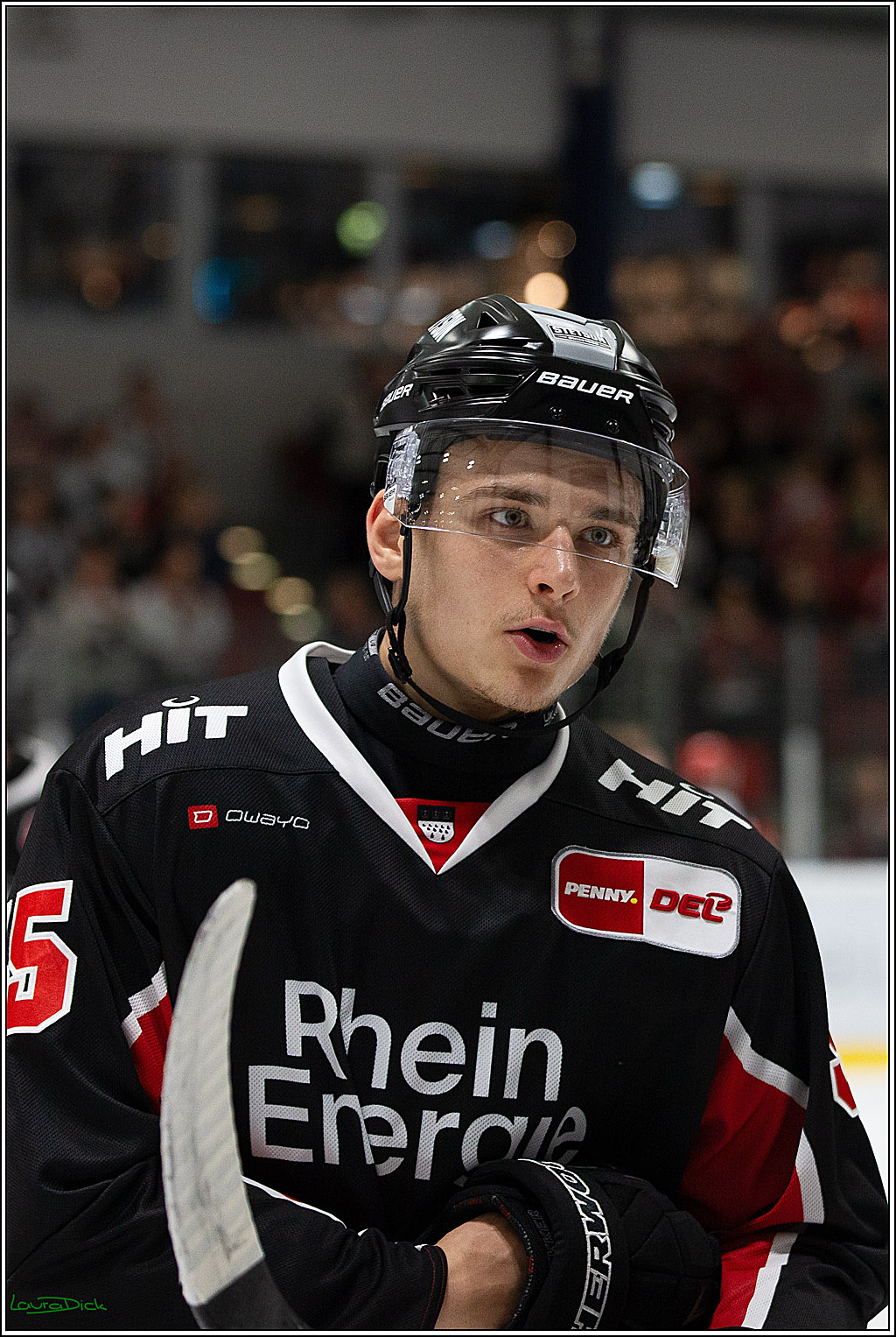 PENNY DEL;Testspiel Koelner Haie- Pioneers Vorarlberg; Koeln, 08.09.2024