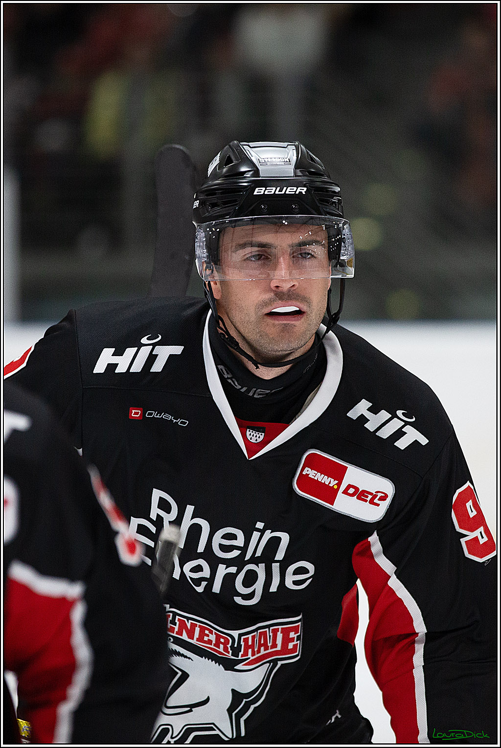 PENNY DEL;Testspiel Koelner Haie-Iserlohn Roosters; Koeln, 13.09.2024