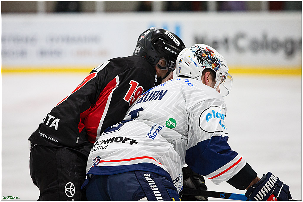 PENNY DEL;Testspiel Koelner Haie-Iserlohn Roosters; Koeln, 13.09.2024