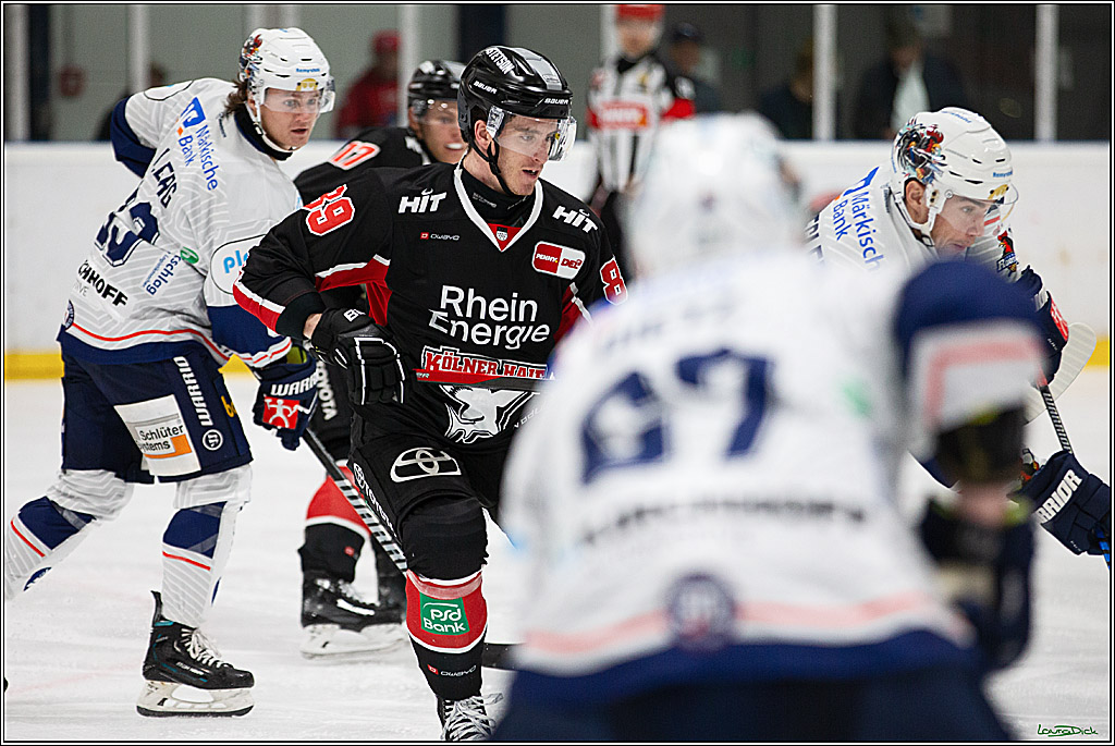 PENNY DEL;Testspiel Koelner Haie-Iserlohn Roosters; Koeln, 13.09.2024