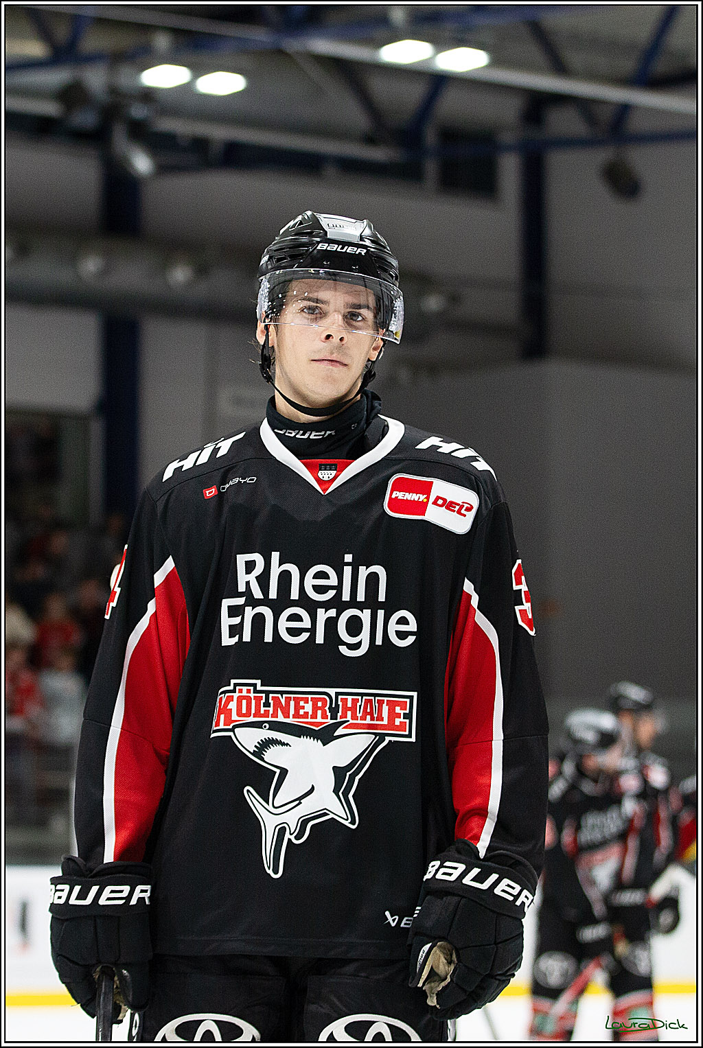 PENNY DEL;Testspiel Koelner Haie-Iserlohn Roosters; Koeln, 13.09.2024