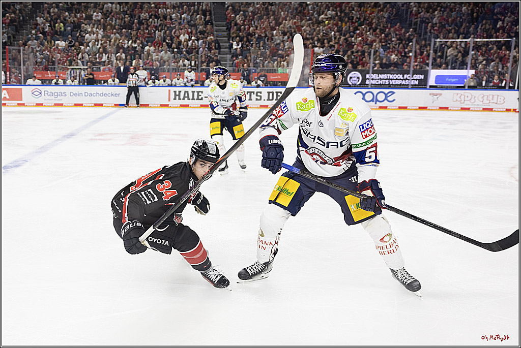 PENNY DEL 1; Kölner Haie - Eisbären Berlin; Köln, 20.09.2024