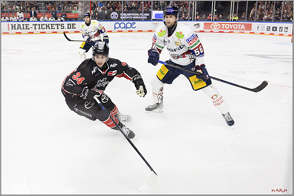 PENNY DEL 1; Kölner Haie - Eisbären Berlin; Köln, 20.09.2024