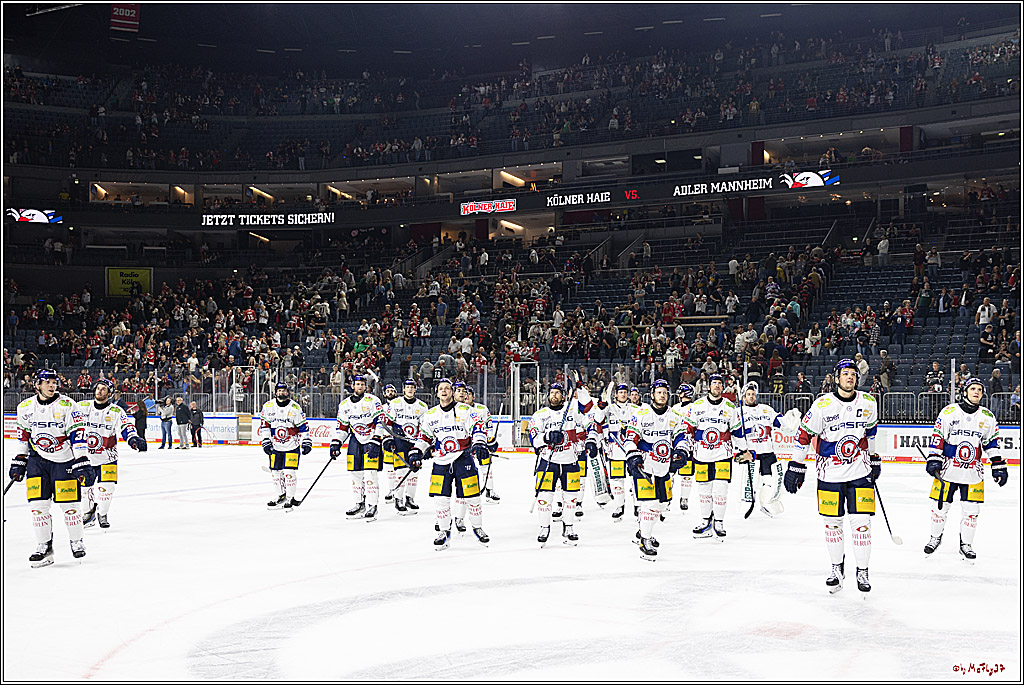 PENNY DEL 1; Kölner Haie - Eisbären Berlin; Köln, 20.09.2024