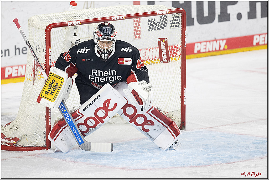 PENNY DEL 1; Kölner Haie - Eisbären Berlin; Köln, 20.09.2024