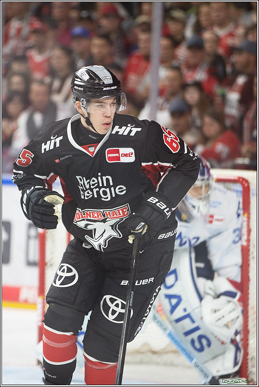 PENNY DEL; Koelner Haie- Adler Mannheim; Koeln, 22.09.2024