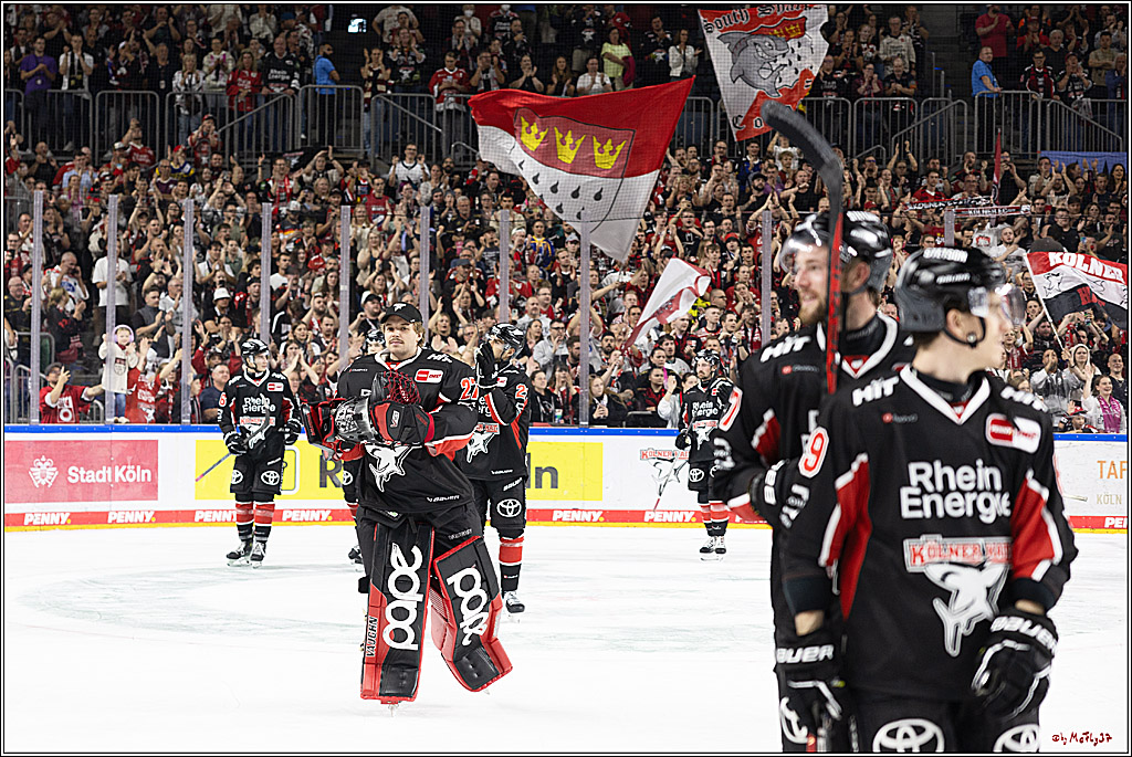 PENNY DEL 1; Kölner Haie - Adler Mannheim; Köln, 22.09.2024