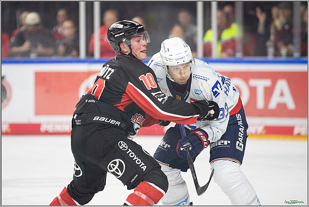 PENNY DEL; Koelner Haie- Adler Mannheim; Koeln, 22.09.2024