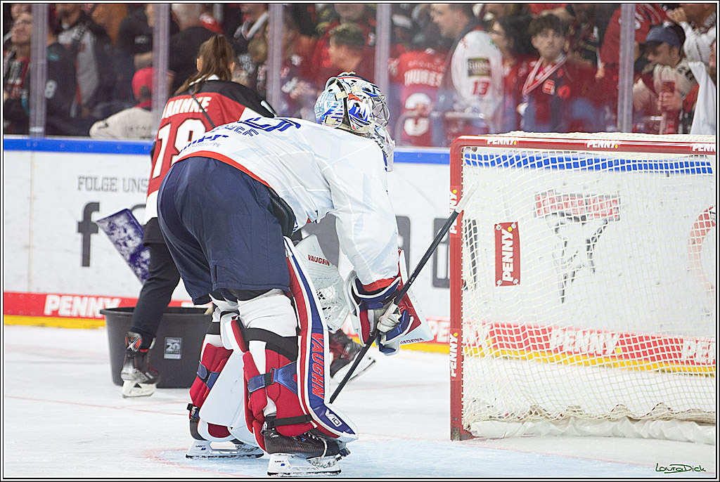 PENNY DEL; Koelner Haie- Adler Mannheim; Koeln, 22.09.2024
