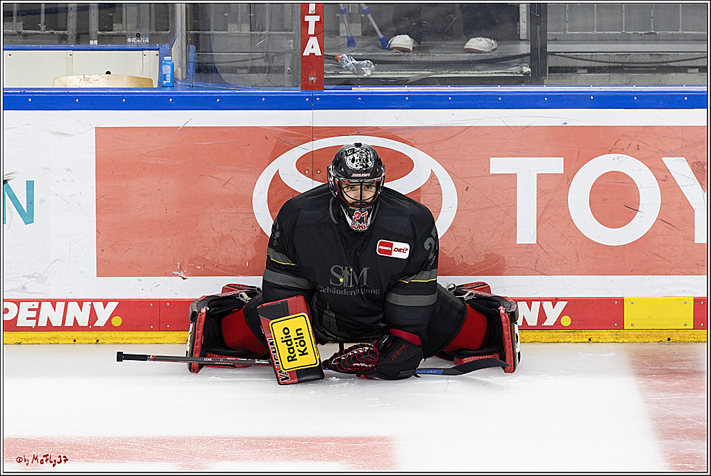 PENNY DEL 1; Kölner Haie - Adler Mannheim; Köln, 22.09.2024
