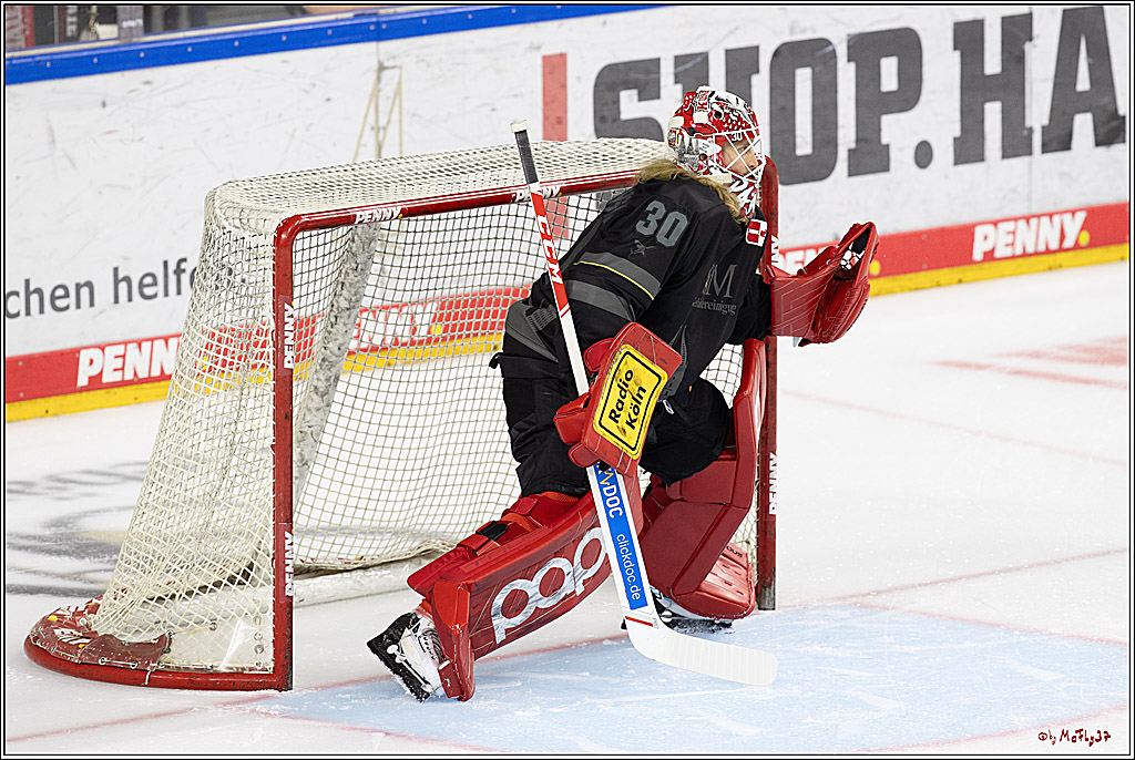 PENNY DEL 1; Kölner Haie - Adler Mannheim; Köln, 22.09.2024