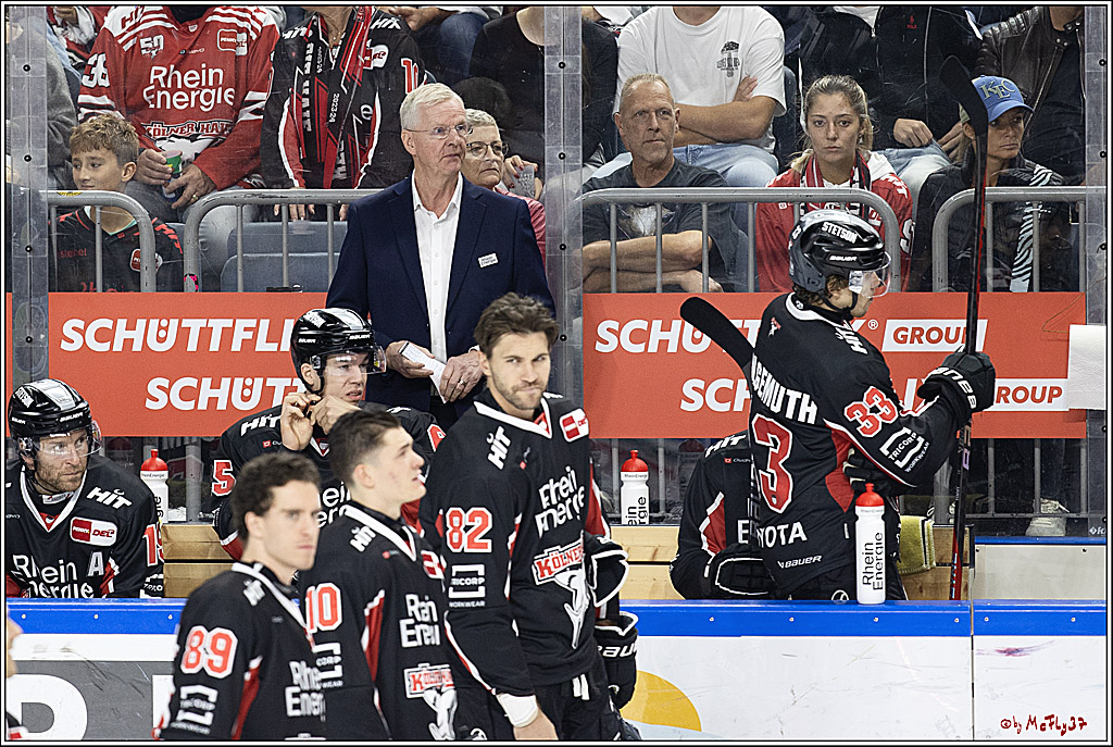 PENNY DEL 1; Kölner Haie - Adler Mannheim; Köln, 22.09.2024