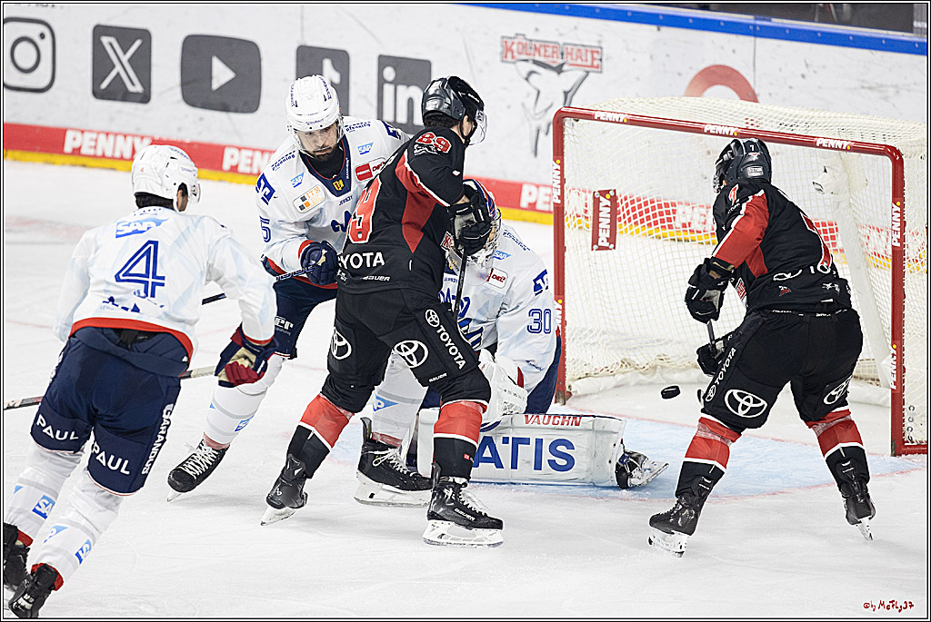 PENNY DEL 1; Kölner Haie - Adler Mannheim; Köln, 22.09.2024