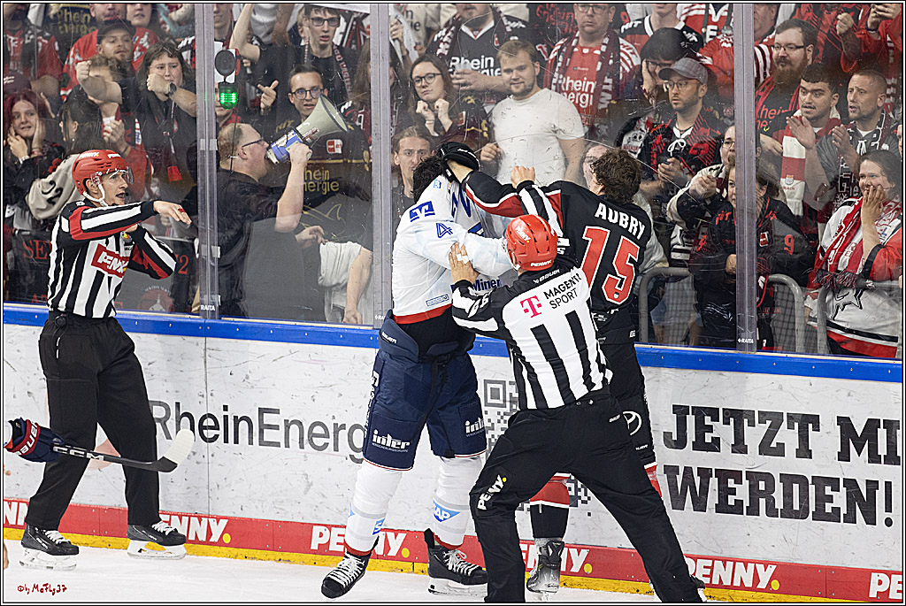 PENNY DEL 1; Kölner Haie - Adler Mannheim; Köln, 22.09.2024