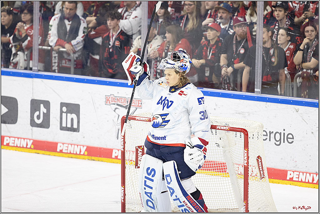 PENNY DEL 1; Kölner Haie - Adler Mannheim; Köln, 22.09.2024