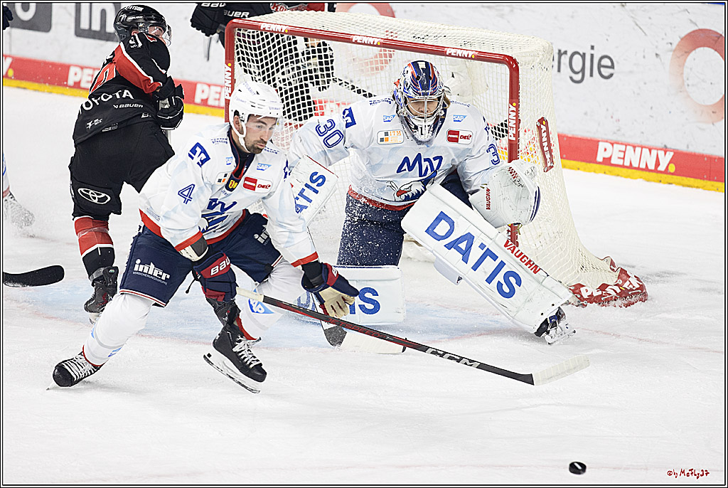 PENNY DEL 1; Kölner Haie - Adler Mannheim; Köln, 22.09.2024