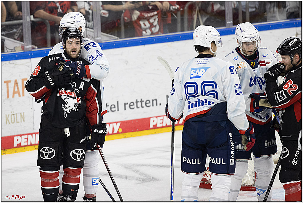 PENNY DEL 1; Kölner Haie - Adler Mannheim; Köln, 22.09.2024