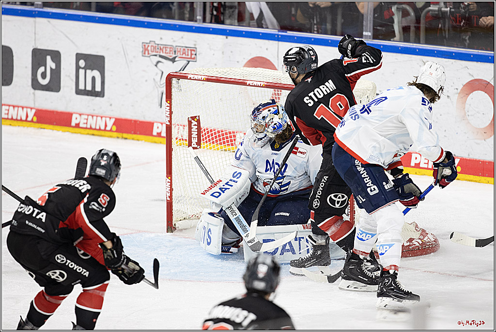 PENNY DEL 1; Kölner Haie - Adler Mannheim; Köln, 22.09.2024