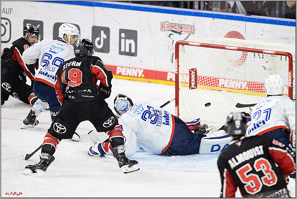 PENNY DEL 1; Kölner Haie - Adler Mannheim; Köln, 22.09.2024