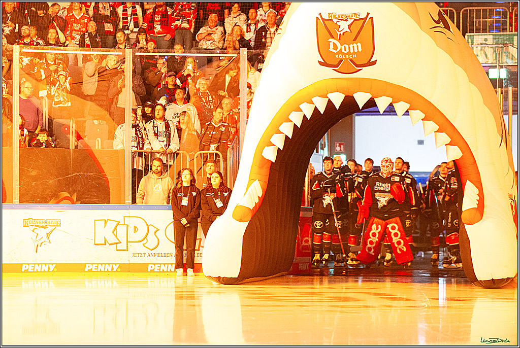 PENNY DEL; Koelner Haie- Nuernberger Ice Tigers; Koeln, 27.09.2024