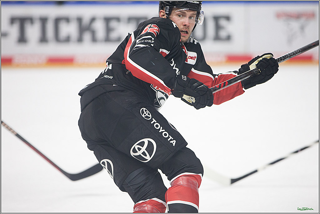 PENNY DEL; Koelner Haie- Nuernberger Ice Tigers; Koeln, 27.09.2024