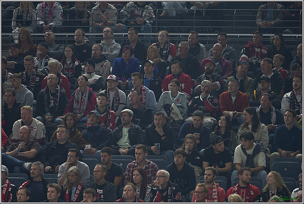 PENNY DEL; Koelner Haie- Nuernberger Ice Tigers; Koeln, 27.09.2024