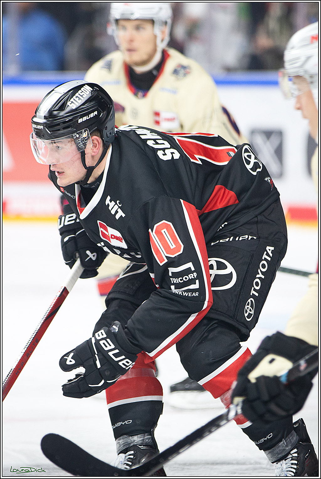 PENNY DEL; Koelner Haie- Nuernberger Ice Tigers; Koeln, 27.09.2024