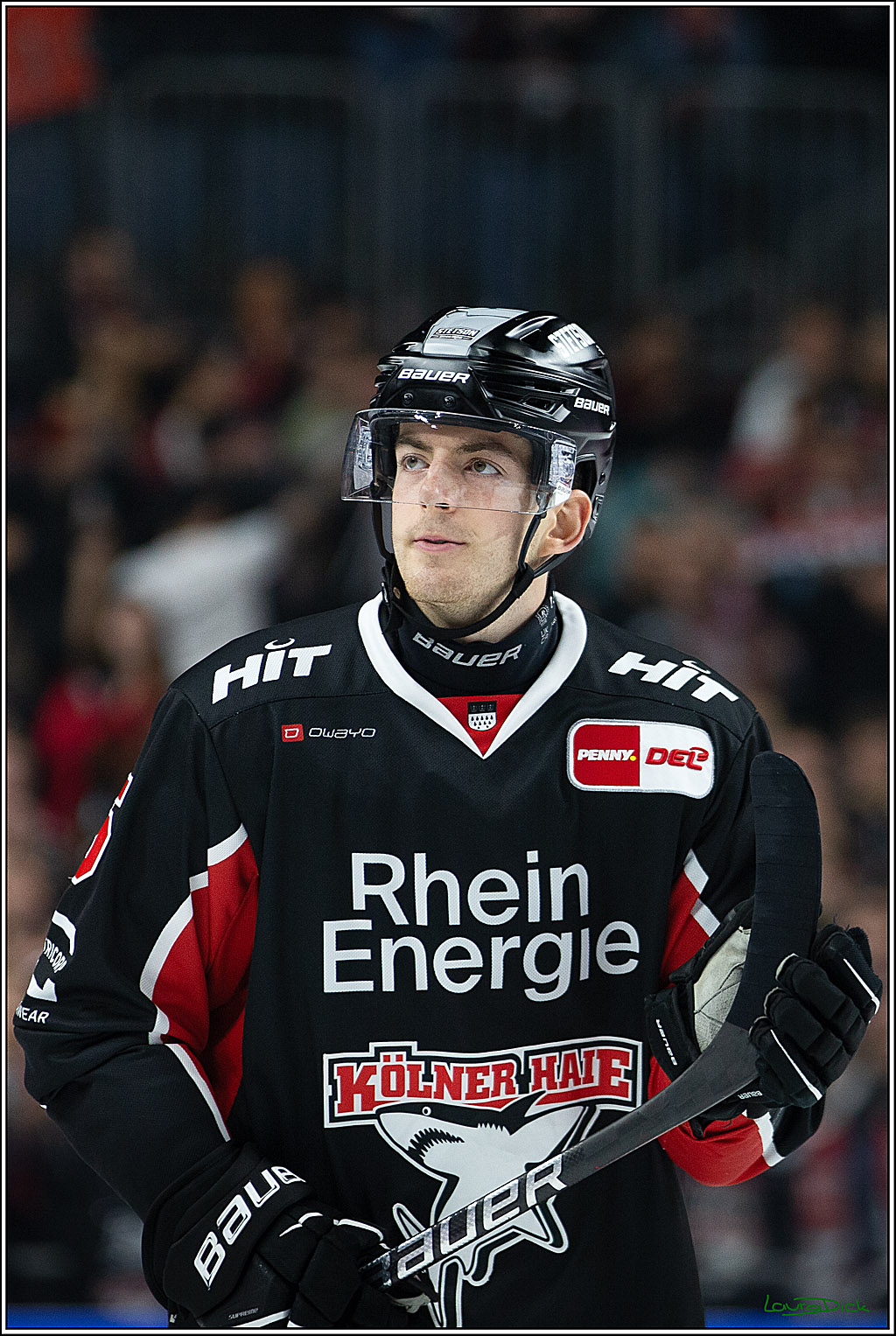 PENNY DEL; Koelner Haie- Nuernberger Ice Tigers; Koeln, 27.09.2024