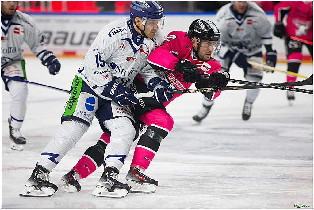 PENNY DEL; Koelner Haie- Staubing Tigers; Koeln, 03.10.2024