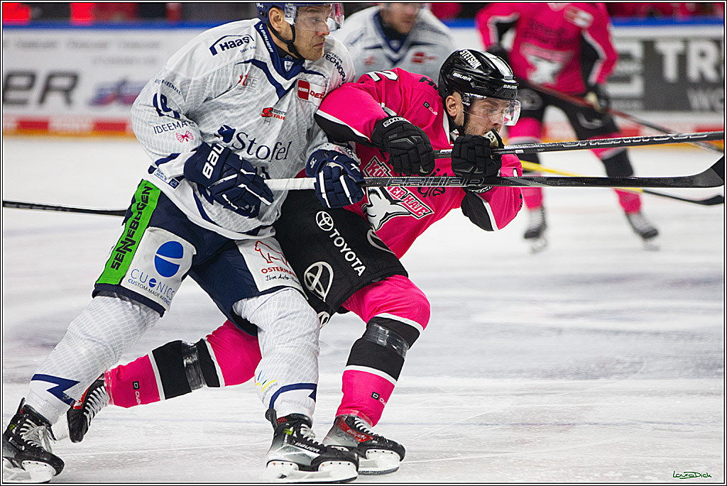 PENNY DEL; Koelner Haie- Staubing Tigers; Koeln, 03.10.2024