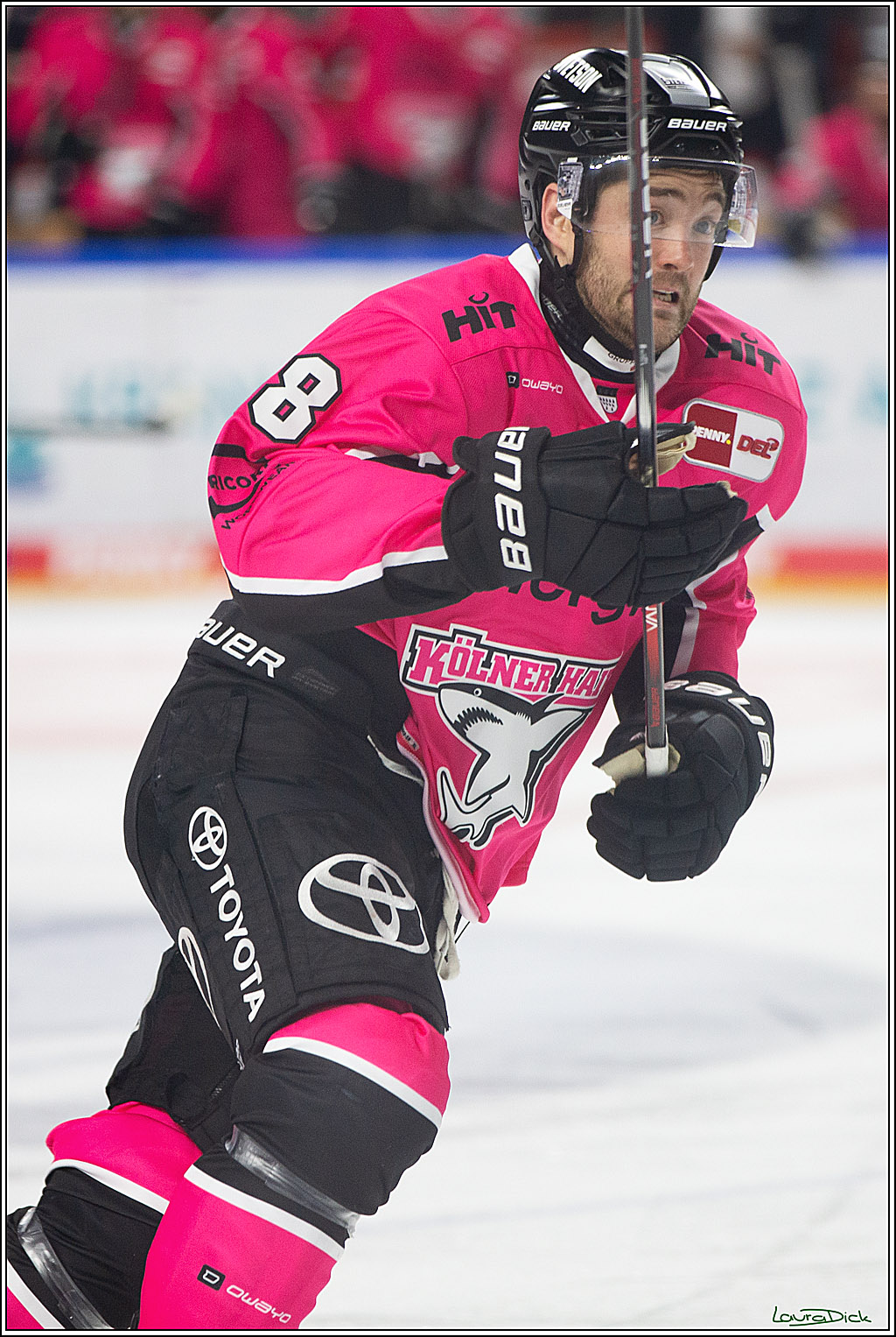 PENNY DEL; Koelner Haie- Staubing Tigers; Koeln, 03.10.2024