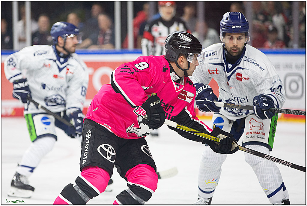 PENNY DEL; Koelner Haie- Staubing Tigers; Koeln, 03.10.2024