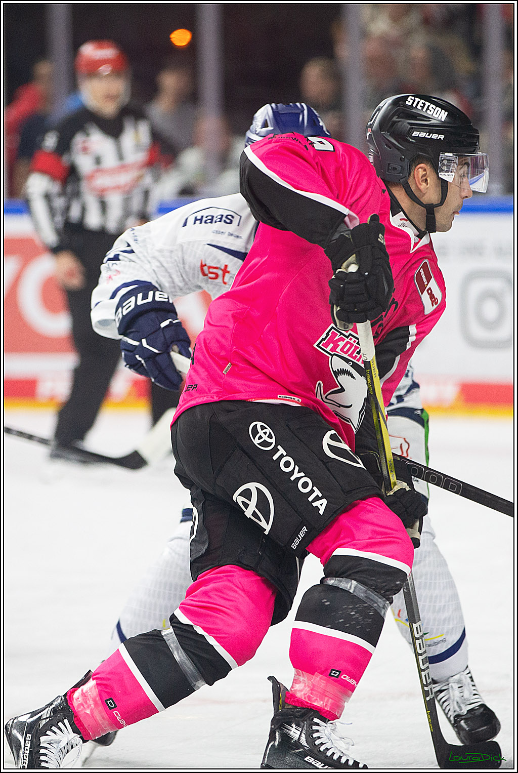 PENNY DEL; Koelner Haie- Staubing Tigers; Koeln, 03.10.2024