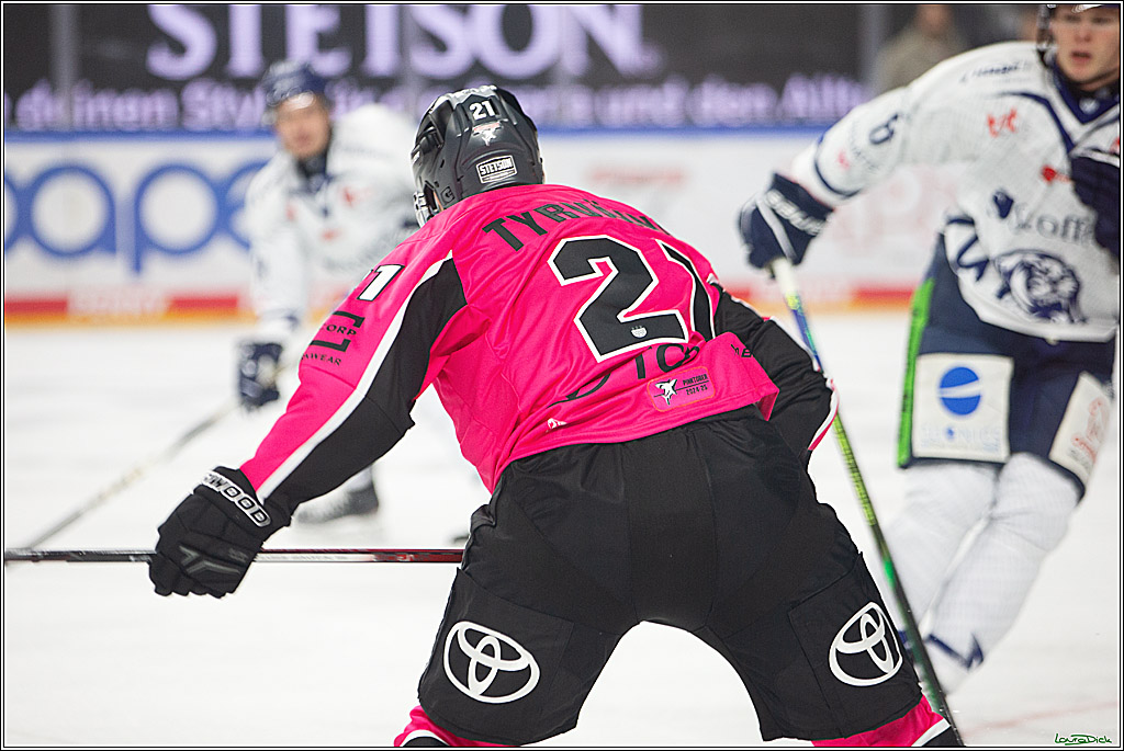 PENNY DEL; Koelner Haie- Staubing Tigers; Koeln, 03.10.2024