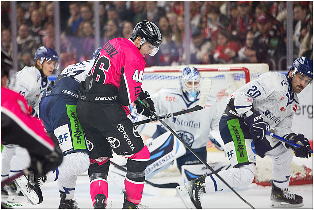 PENNY DEL; Koelner Haie- Staubing Tigers; Koeln, 03.10.2024