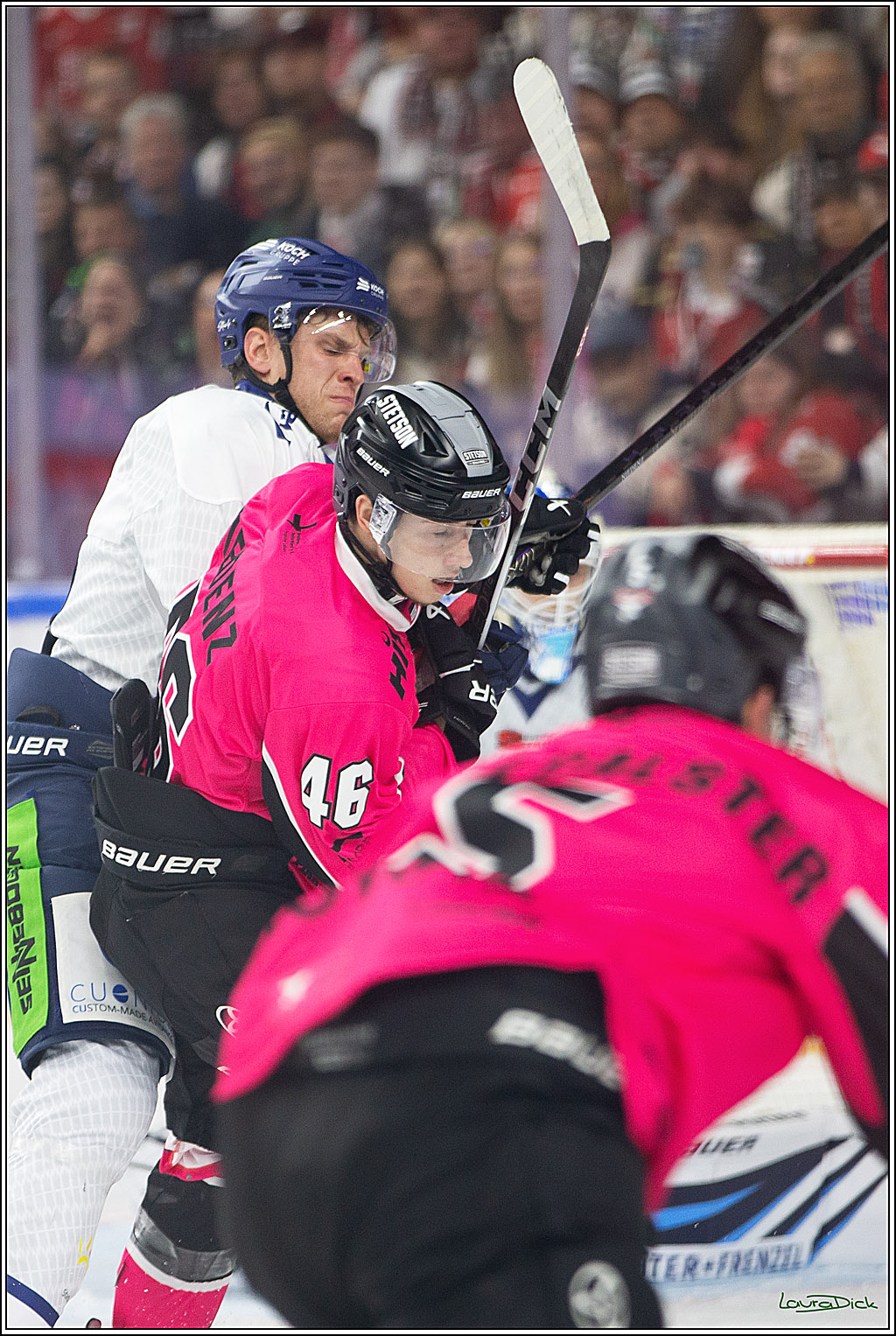PENNY DEL; Koelner Haie- Staubing Tigers; Koeln, 03.10.2024