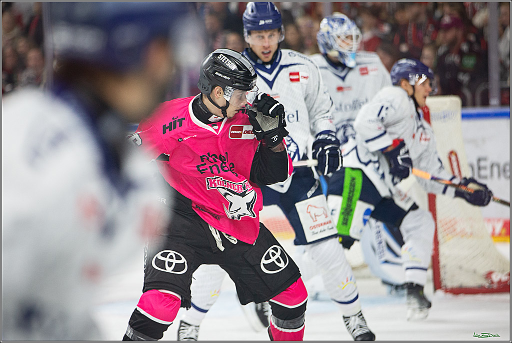 PENNY DEL; Koelner Haie- Staubing Tigers; Koeln, 03.10.2024