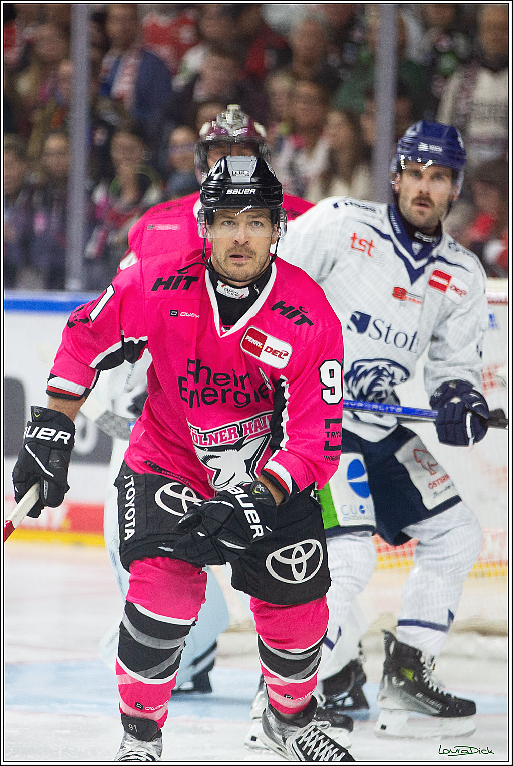 PENNY DEL; Koelner Haie- Staubing Tigers; Koeln, 03.10.2024