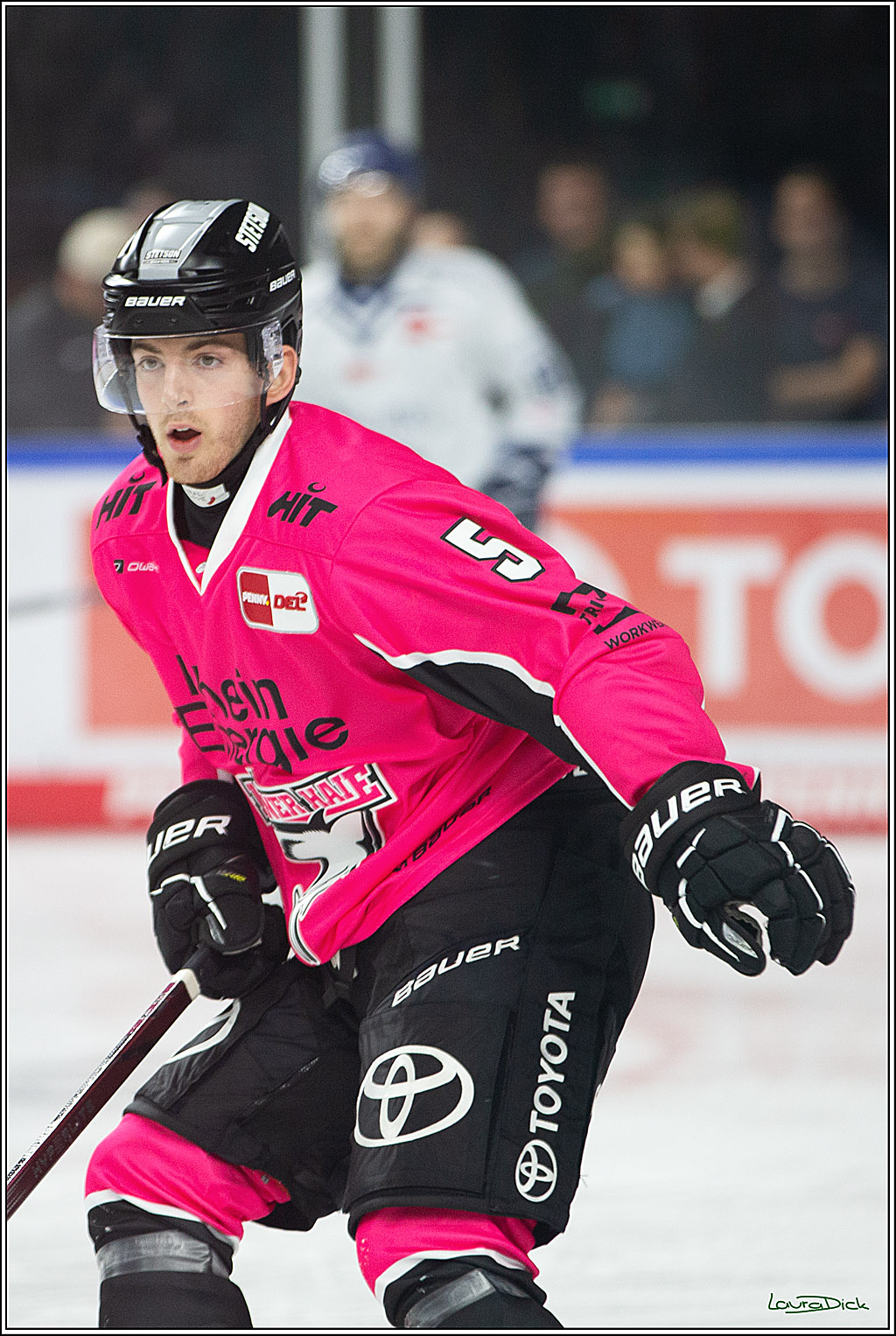 PENNY DEL; Koelner Haie- Staubing Tigers; Koeln, 03.10.2024