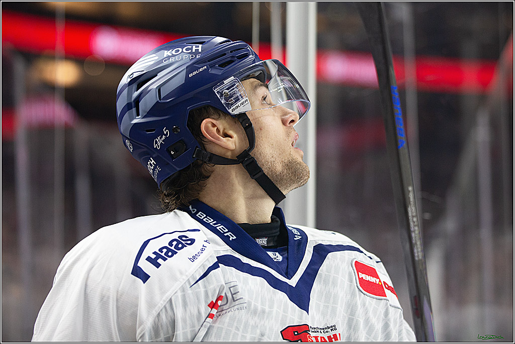 PENNY DEL; Koelner Haie- Staubing Tigers; Koeln, 03.10.2024
