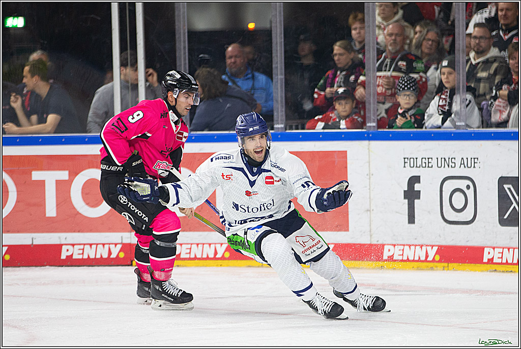 PENNY DEL; Koelner Haie- Staubing Tigers; Koeln, 03.10.2024