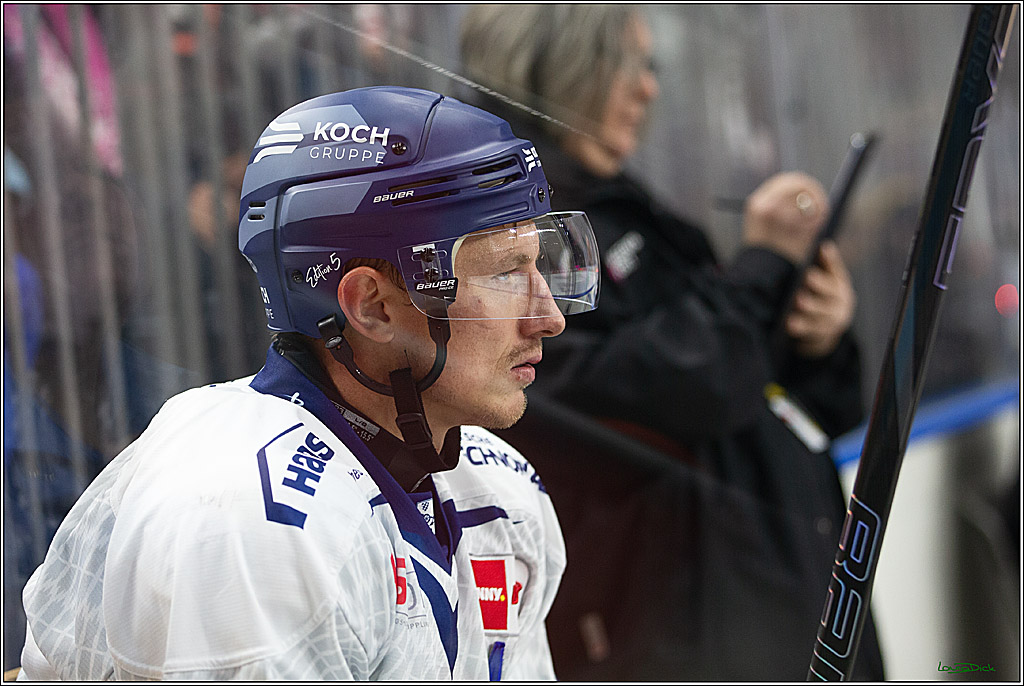 PENNY DEL; Koelner Haie- Staubing Tigers; Koeln, 03.10.2024