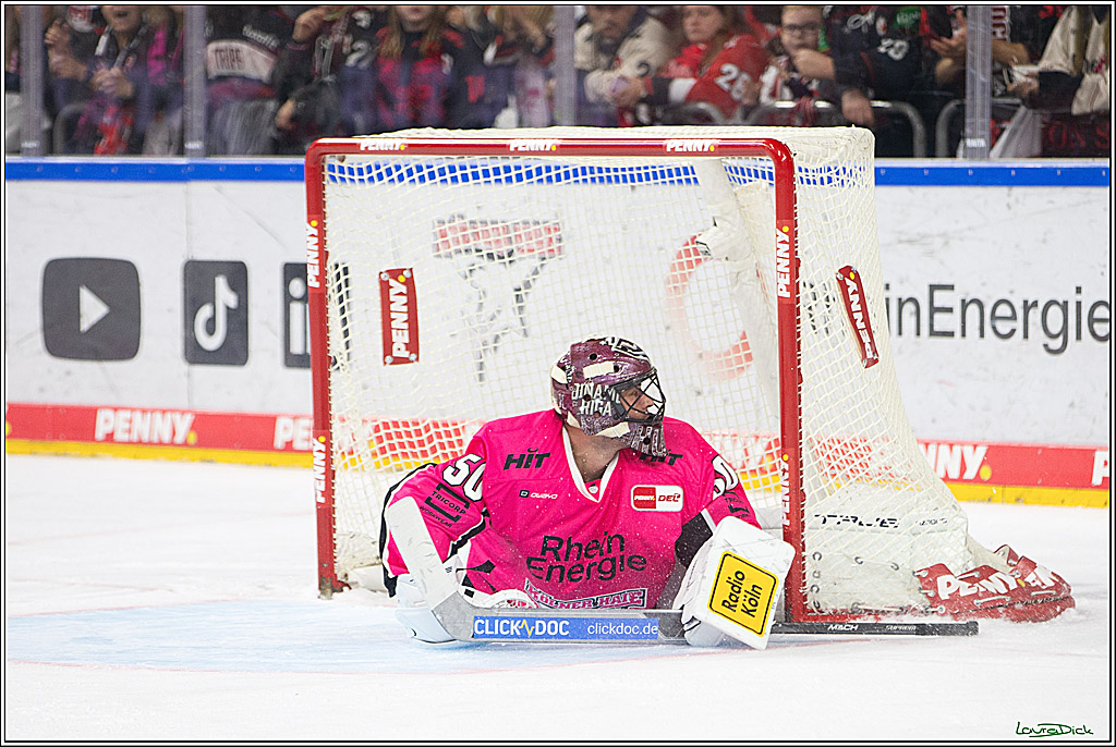 PENNY DEL; Koelner Haie- Staubing Tigers; Koeln, 03.10.2024