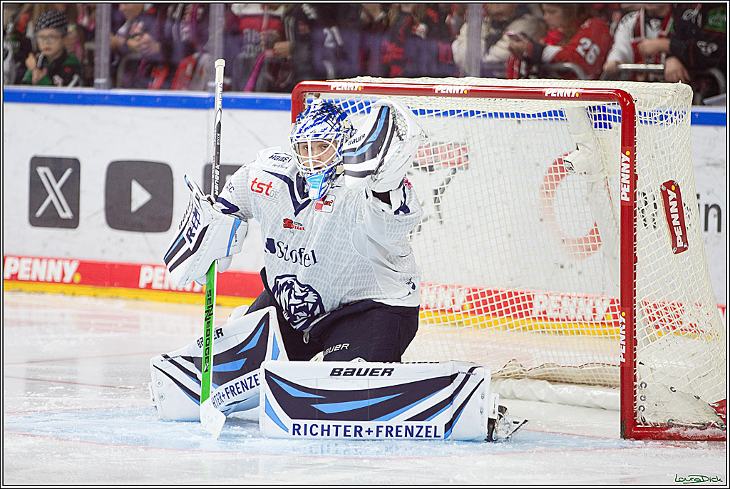 PENNY DEL; Koelner Haie- Staubing Tigers; Koeln, 03.10.2024