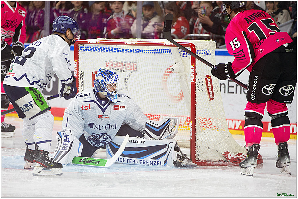 PENNY DEL; Koelner Haie- Staubing Tigers; Koeln, 03.10.2024