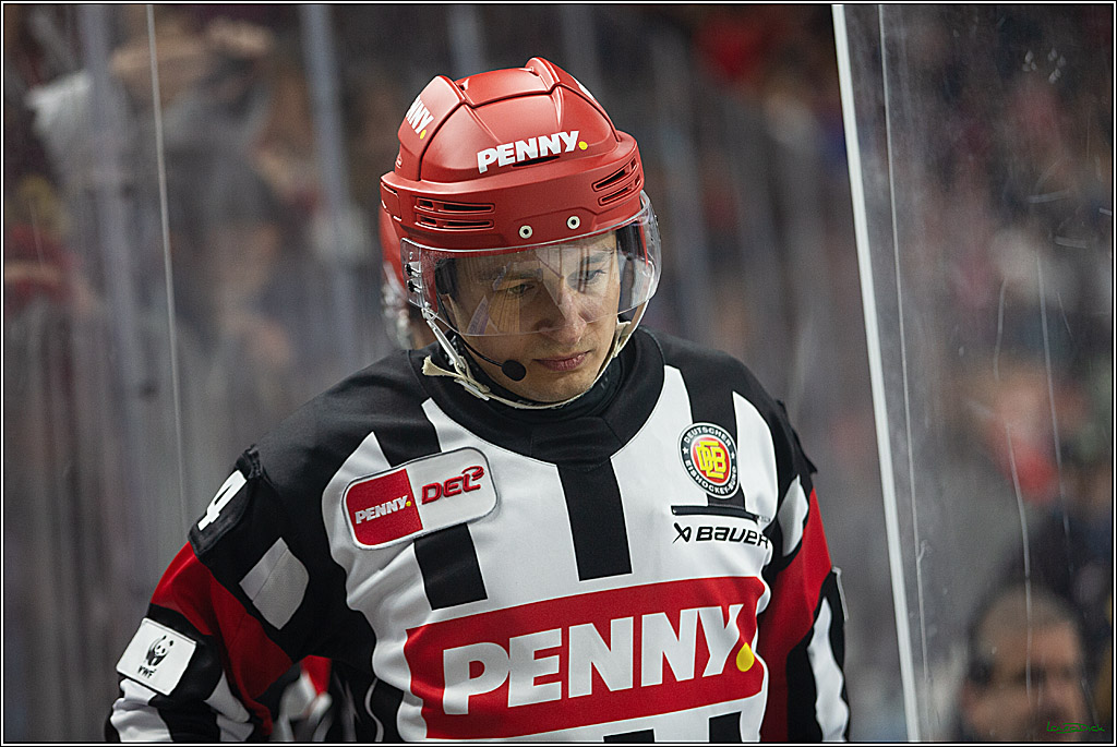 PENNY DEL; Koelner Haie- Staubing Tigers; Koeln, 03.10.2024