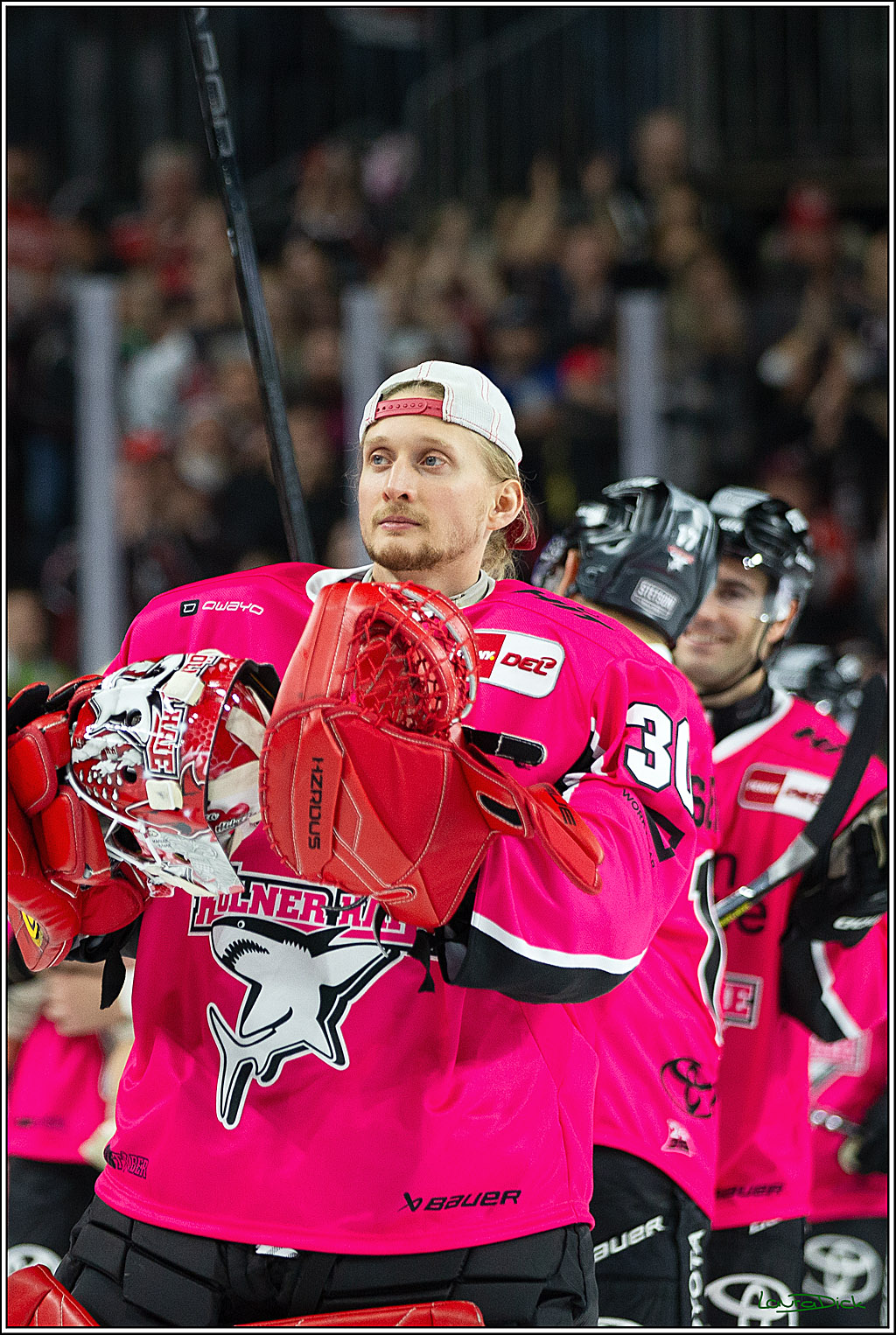 PENNY DEL; Koelner Haie- Staubing Tigers; Koeln, 03.10.2024